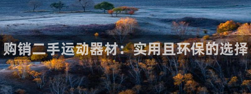 球王会体育官网下载软件:购销二手运动器材:实用且环保的选择
